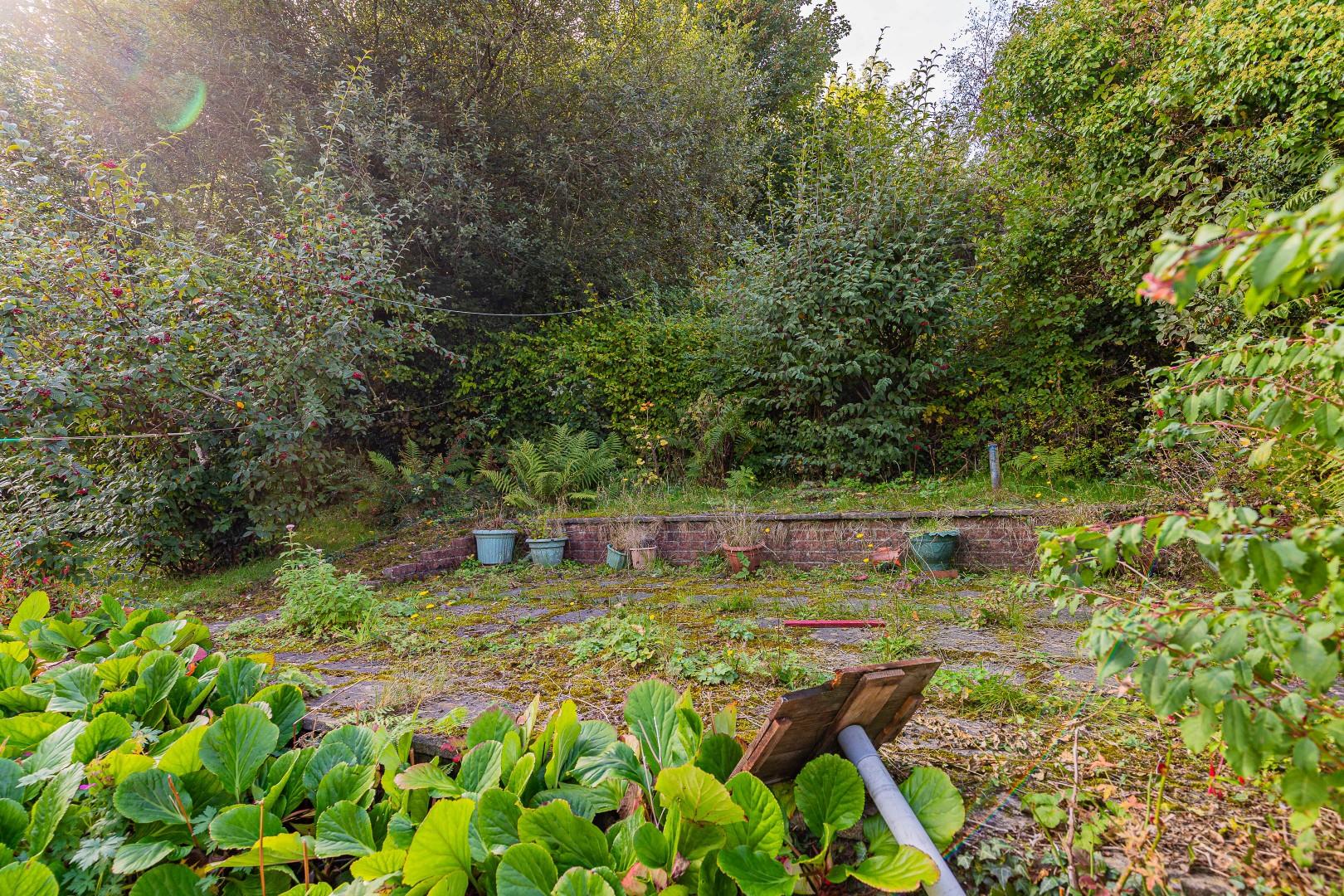 Coed Leddyn, Pwllypant, Caerphilly — photograph 5